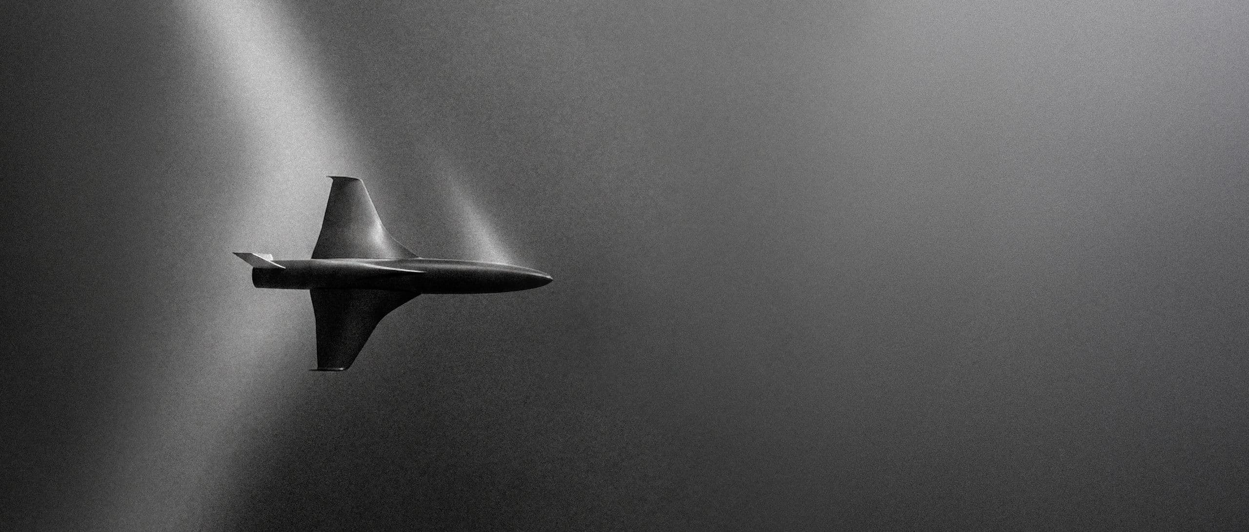 Black Bird in flight